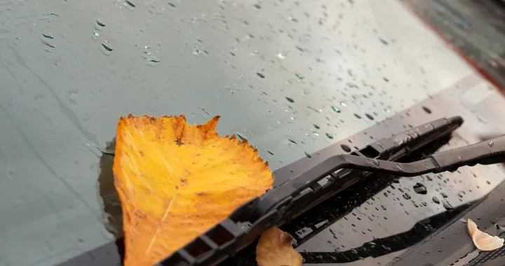 Da quanto non cambi le spazzole tergicristallo della tua auto? Questo è il momento migliore per farlo