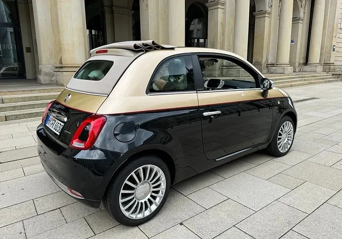 ingrandisci immagine