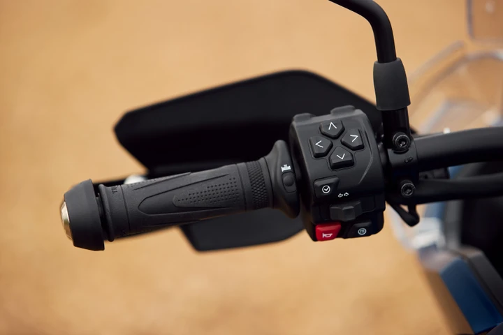 ingrandisci immagine