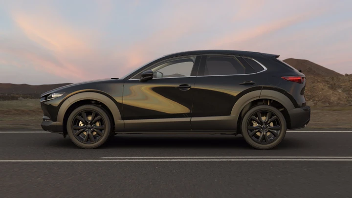 ingrandisci immagine