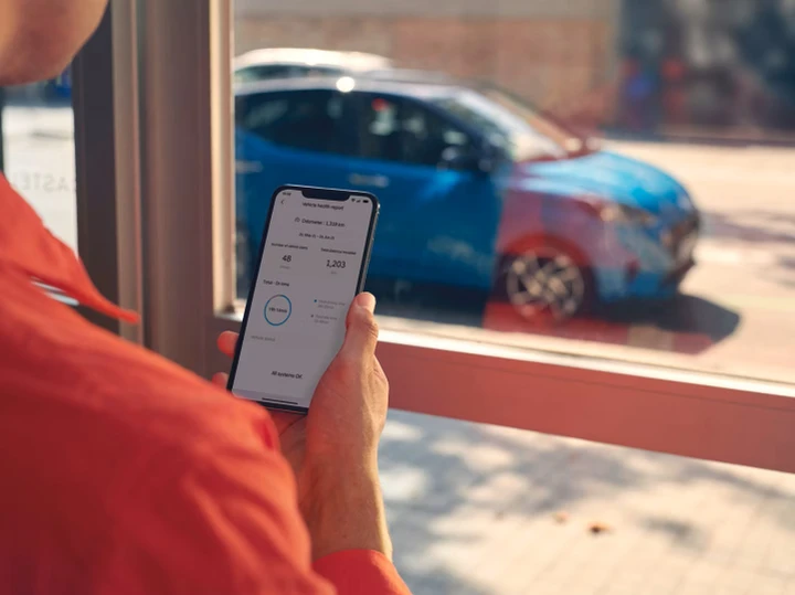 ingrandisci immagine