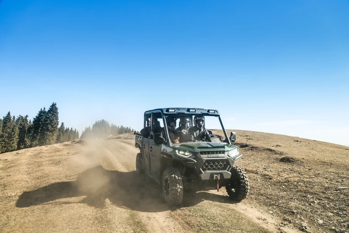 ingrandisci immagine