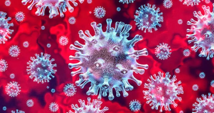 Honda, per le sue auto arriva un filtro anti Covid